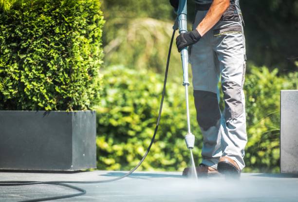 Animal Enclosure Cleaning in West Baraboo, WI